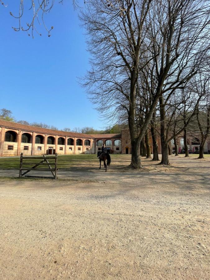 Foresteria La Rubbianetta Druento Exteriér fotografie
